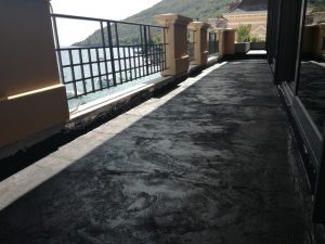 IMG_20170821_150115 (Large)